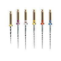 Maillefer ProTaper Univ. Starter Kit 31мм 6 шт -машинный файл с прогрессирующей конусностью,стартовый комплект.6 файлов: SX, S1, S2, F1, F2, F3