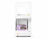 Up3d p53