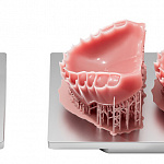 Rayshape mini