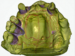 3D сканер Up3D Up1000